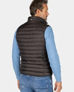 Bruine gewatteerde bodywarmer - Mud