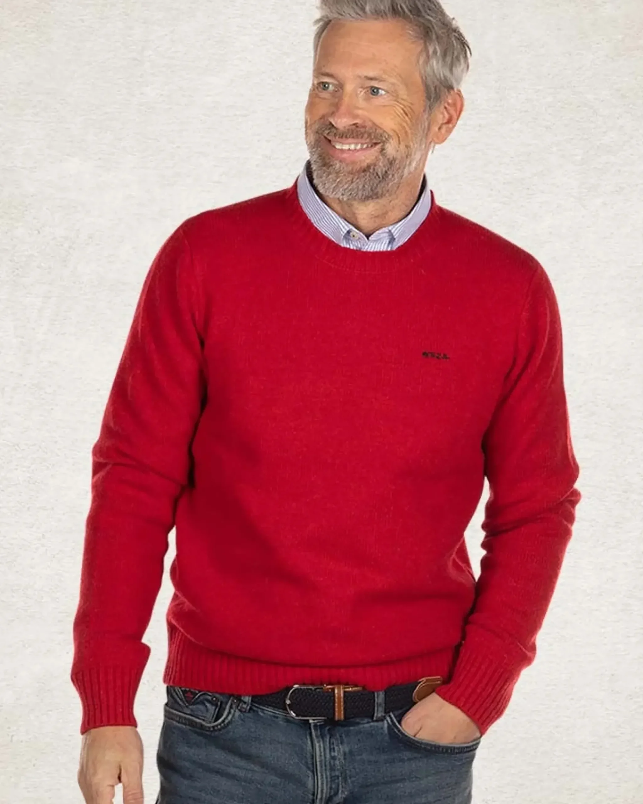 Effen trui met ronde hals van wol - Carmine red