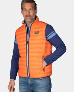 Oranje bodywarmer