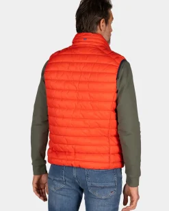Oranje bodywarmer