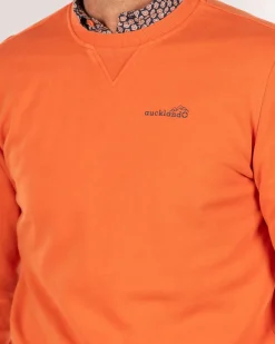 Oranje sweater met ronde hals - Ginger Orange
